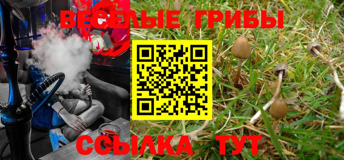 Галлюциногенные грибы Psilocybine cubensis  купить наркотики сайты  Урай  Вход с VPN  Галлюциногенные грибы GOLDEN TEACHER 